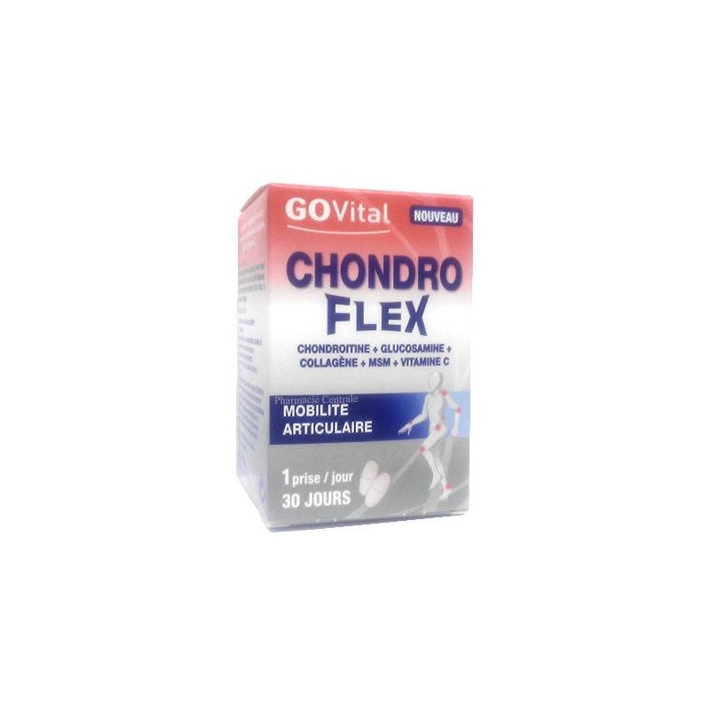 chondroflex avis