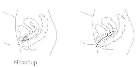 mooncup prix