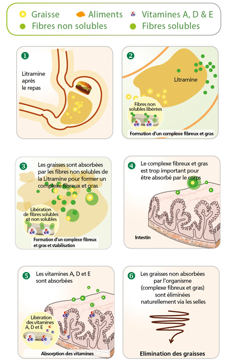 prix xls medical en pharmacie